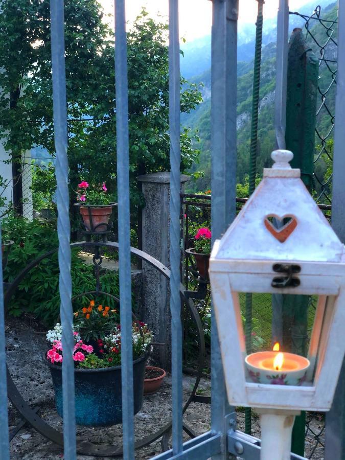Le Castagne Matte Bed & Breakfast Stenico Екстериор снимка